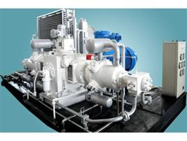 Type D CNG Compressors
