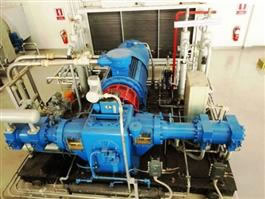 Type D CNG Compressors
